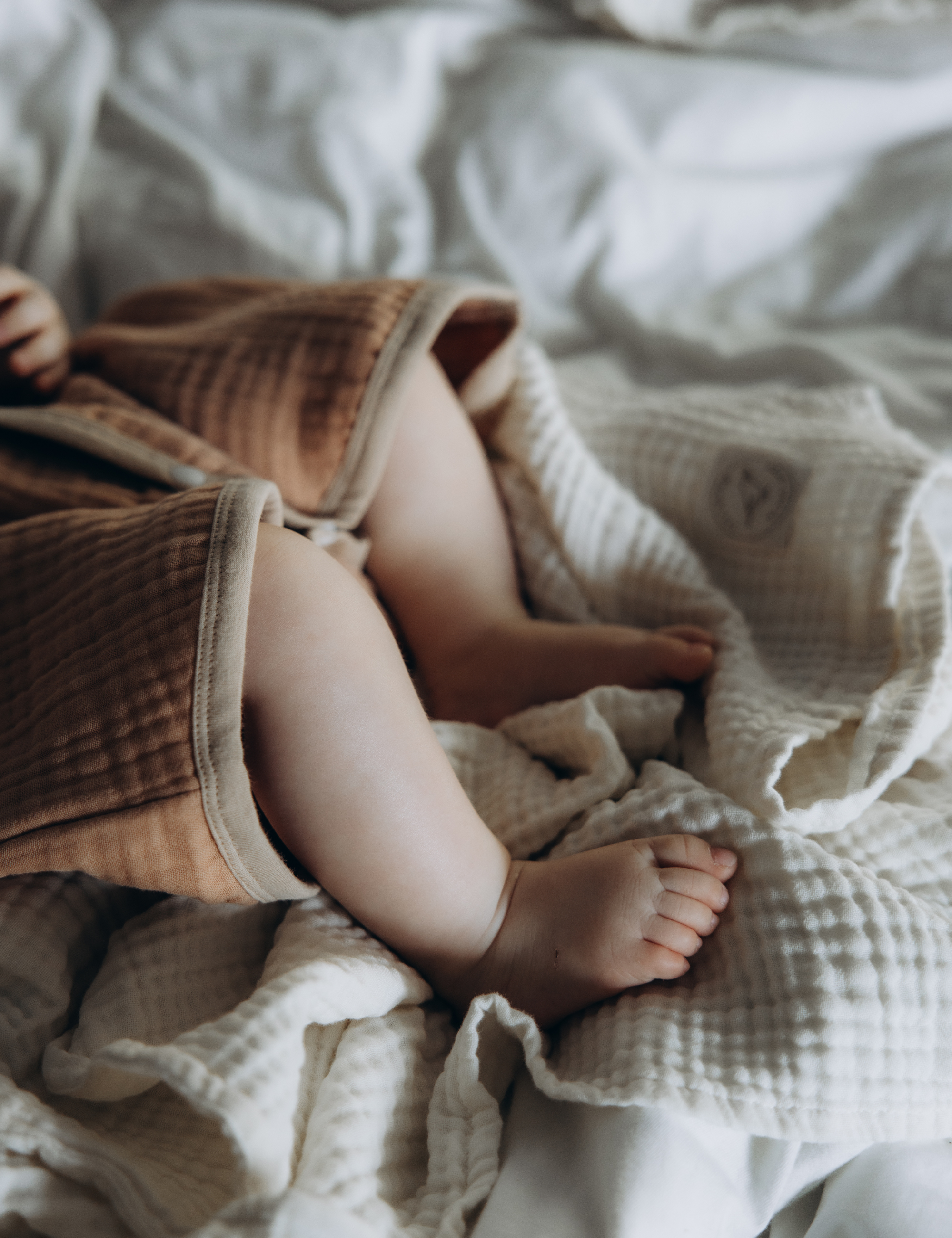 Plantefarget Sovesett