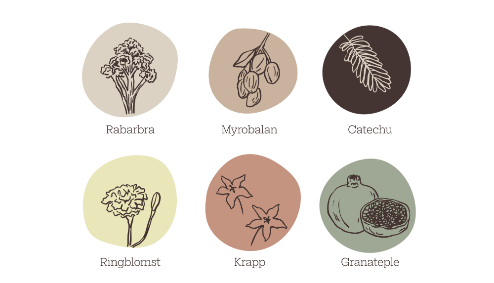 Set of six circular icons with botanical illustrations and names on a white background